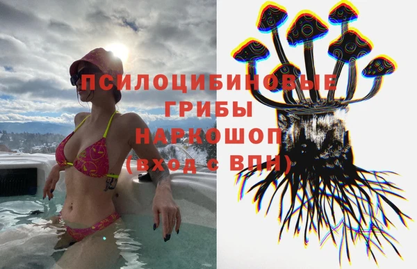 спиды Магадан