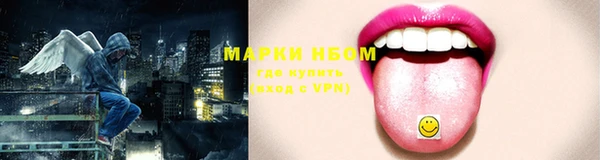 стаф Майский