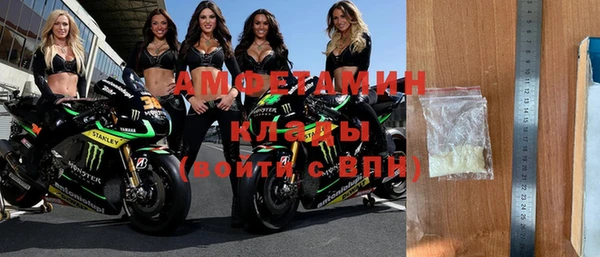 сатива Бердск