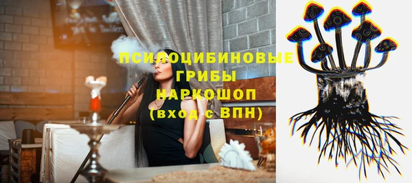 стаф Майский