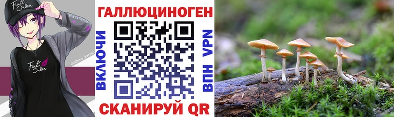 Галлюциногенные грибы Magic Shrooms  Пойковский 