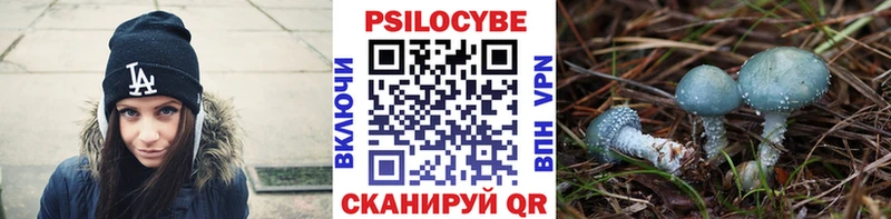 Галлюциногенные грибы Magic Shrooms Пойковский